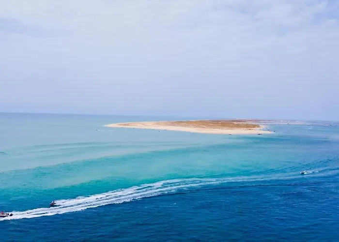 - Private Spacious Sunlit Patio 오양